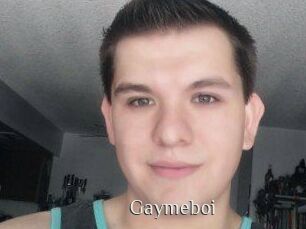 Gaymeboi