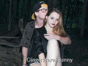 GingerSnowBunny