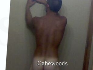 gabewoods Shop coquin