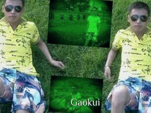 Gaokui