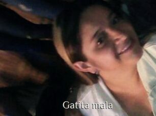 Gatita_mala