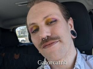 Gatorcatnb