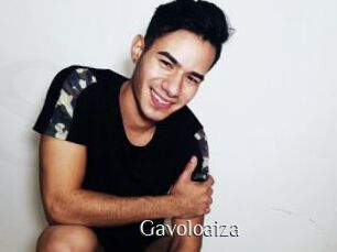 Gavoloaiza