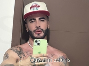 Gawainn_zeldris