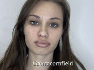 Gaynacornfield