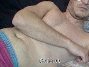 Geilerob
