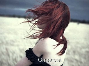 Gingercat