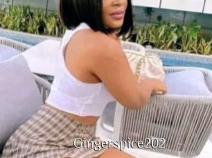 Gingerspice202