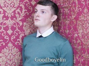 Goodboyelin