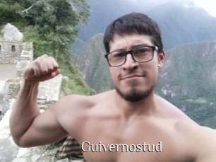 Guivernostud