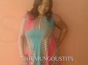 HUMUNGOUSTITS