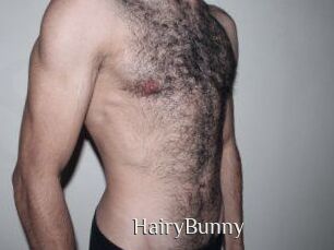 HairyBunny