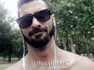 Hairydude87