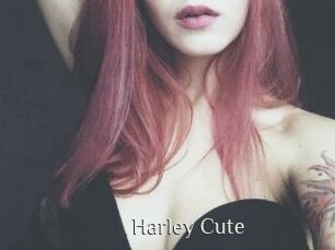 Harley_Cute