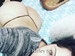 Harley_fox