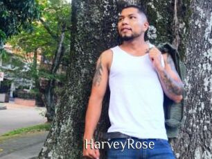 HarveyRose