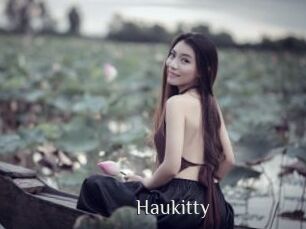 Haukitty