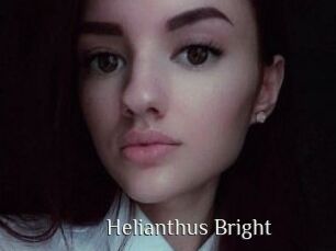 Helianthus_Bright