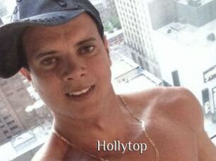 Hollytop
