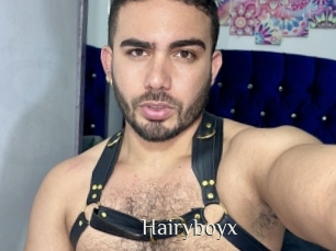 Hairyboyx