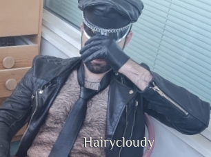 Hairycloudy