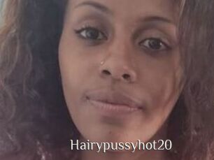 Hairypussyhot20