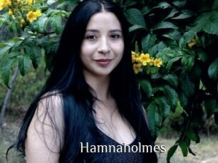 Hamnaholmes