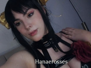 hanaerosses Shop coquin