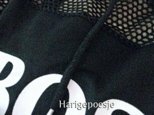 Harigepoesje