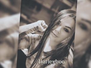 Harleyboo