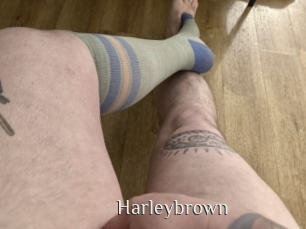 Harleybrown