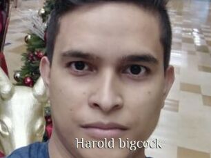 Harold_bigcock