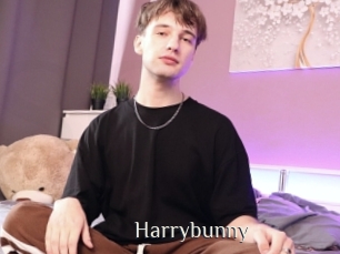 Harrybunny