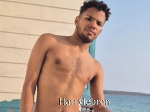 Harrylebron