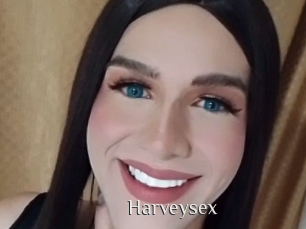 harveysex Shop coquin