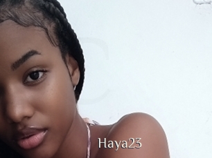 Haya23