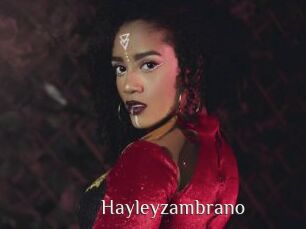 Hayleyzambrano