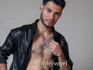 Heilervogel