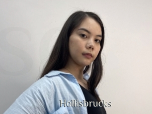 hollisbrucks Shop coquin