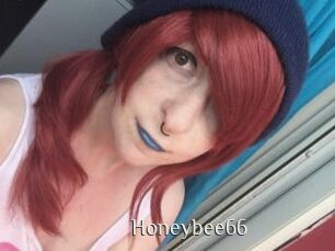 Honeybee66