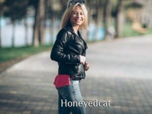 Honeyedcat