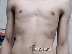hornysam Shop coquin