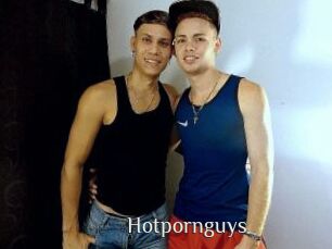 Hotpornguys