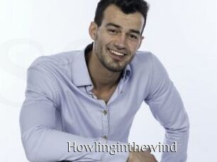 Howlinginthewind