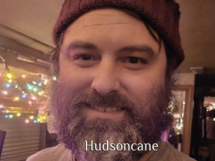 Hudsoncane