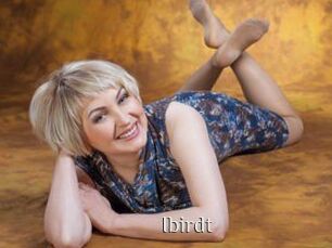 Ibirdt