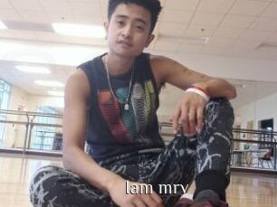 Iam_mrv
