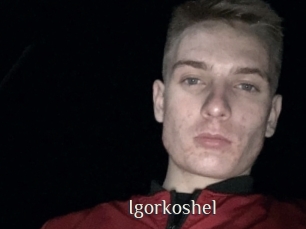 Igorkoshel