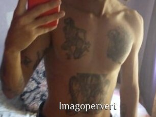 Imagopervert