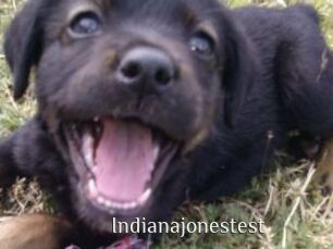 Indianajonestest